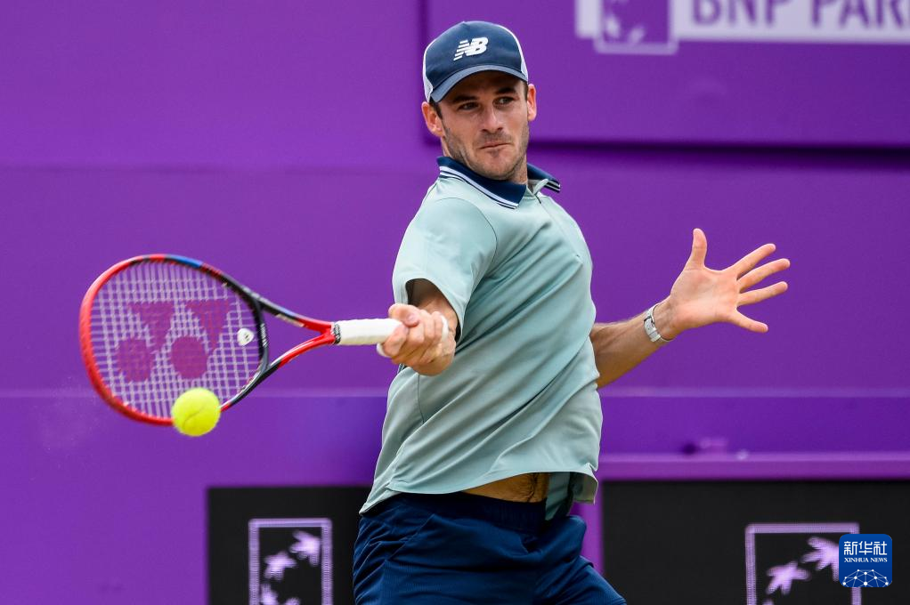 每年都会有 每年都会有