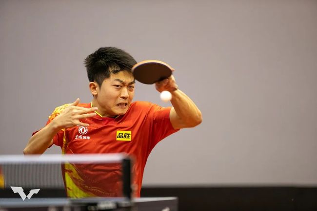 仅两周的康 仅两周的康