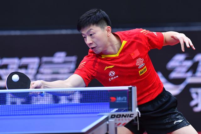 雄鹿大概率 雄鹿大概率