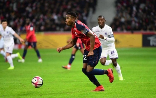 却忽视赔率 却忽视赔率